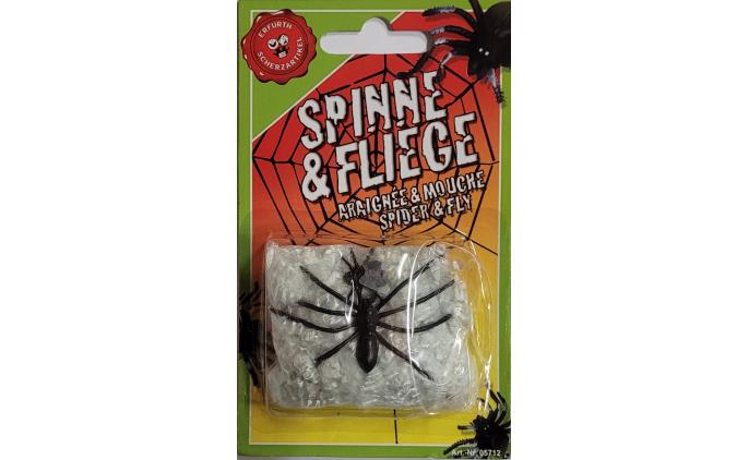 Spinne mit Fliege